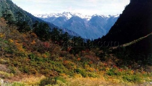 高山森林公园