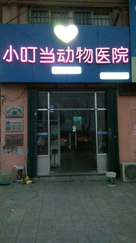 小叮当动物医院