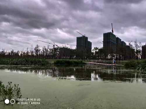 天长市奥林匹克健康公园