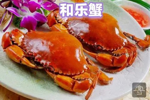 文昌鸡餐厅