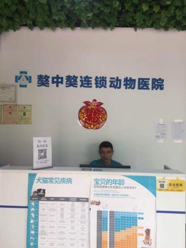獒中獒连锁动物医院(英国宫店)