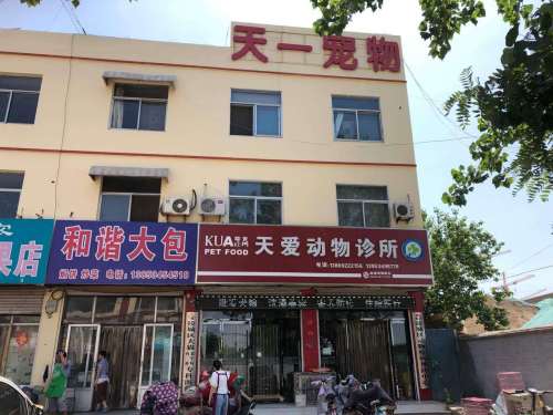天一宠物医院