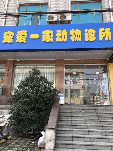 宠爱一家动物诊所