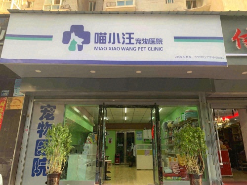 喵小汪宠物医院