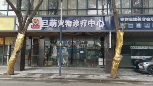 旦萌动物诊疗中心