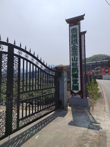 贵州织金高山杜鹃博览园