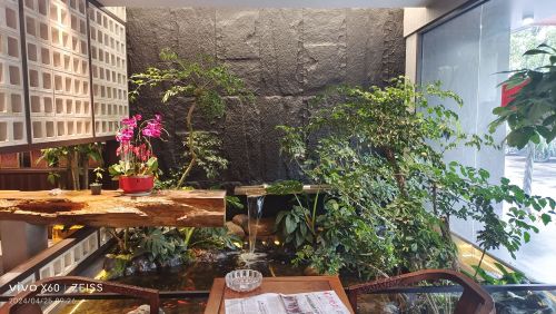 Gallery 2