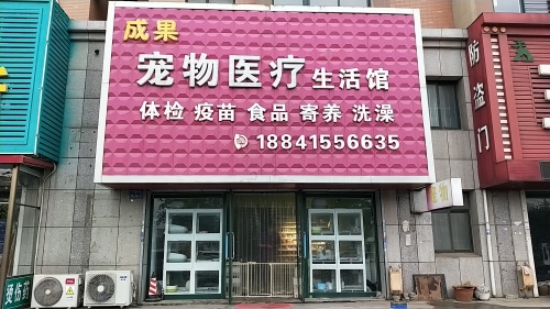 成果宠物医院宠物店
