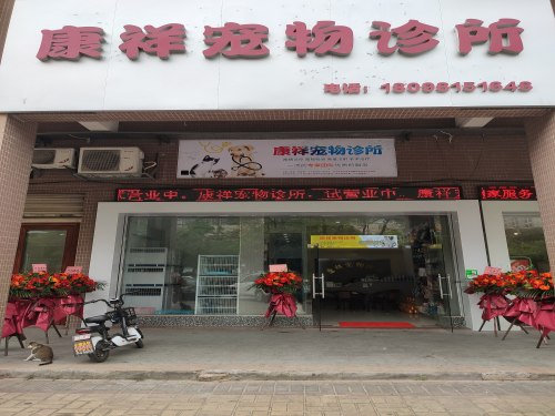 康祥宠物诊所