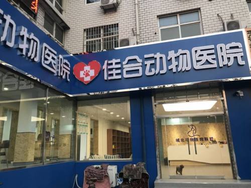佳合动物医院