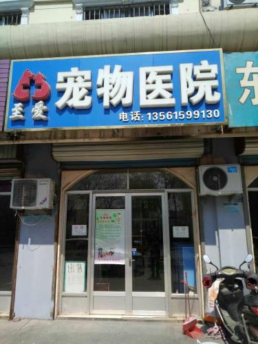 至爱宠物医院(黄河八路)