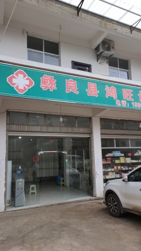 鸿旺诊所