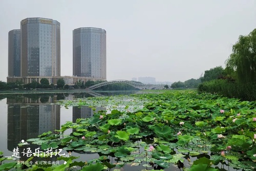 梅龙湖