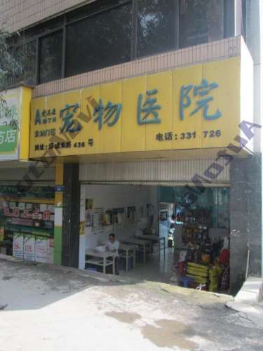 爱美森宠物诊所