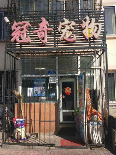 冠奇宠物