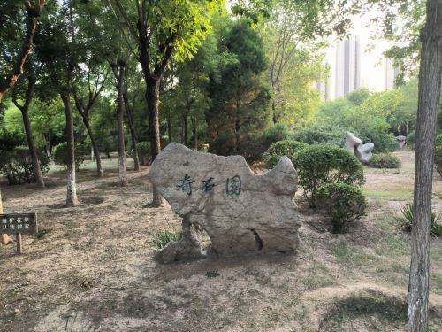紫云公园-奇石园