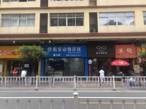 明爱动物诊所