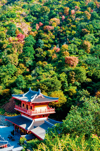 玉佛寺