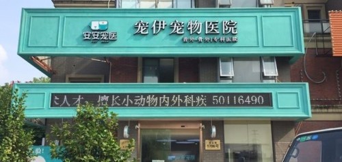 安安宠医宠伊分院