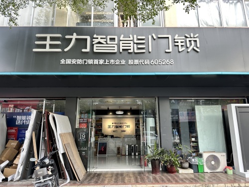 王力智能门锁