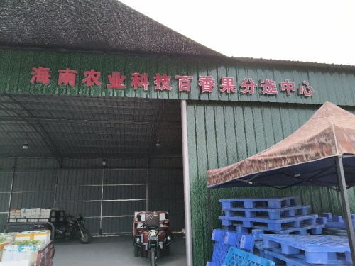 海南农业科技百香果分选中心