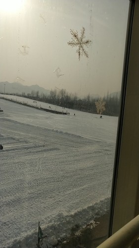 四季生态园-滑雪场(暂停营业)的第2张图片的图片资料