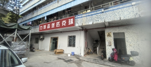 力特森堡匹克球