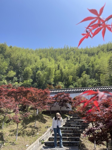 杨岐普通寺