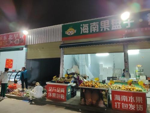 海南果盘子热带水果