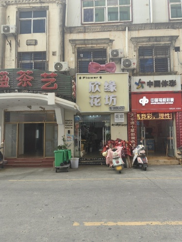 欣缘花坊(佰丽总店)