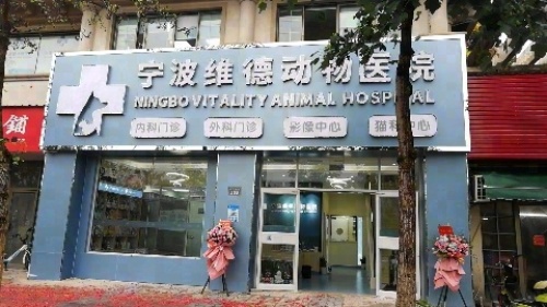 宁波维德动物医院