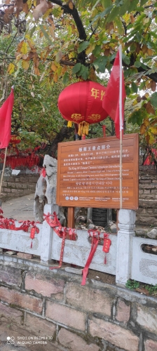 板栗王景点