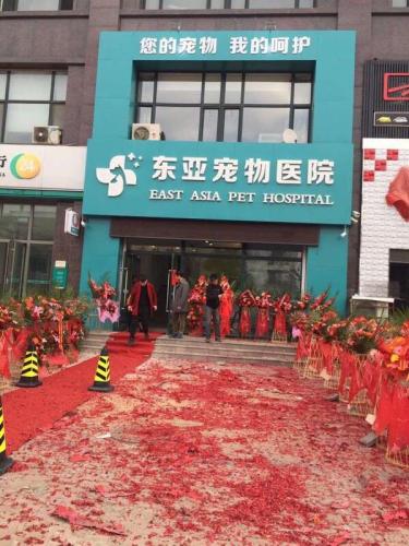 东亚宠物医院
