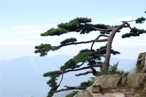 大别山国家地质公园