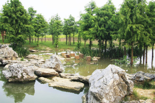 南京七桥瓮生态湿地公园