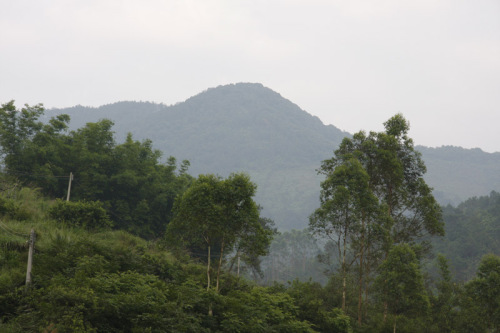 金钟山[广东肇庆]