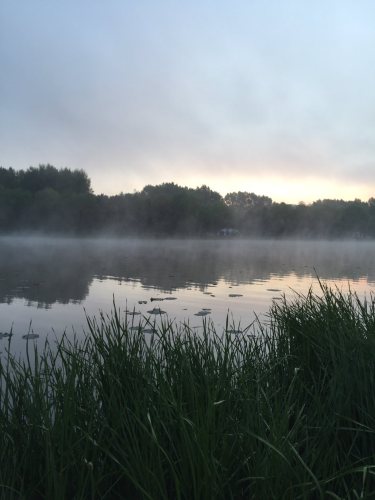 雷炎公园