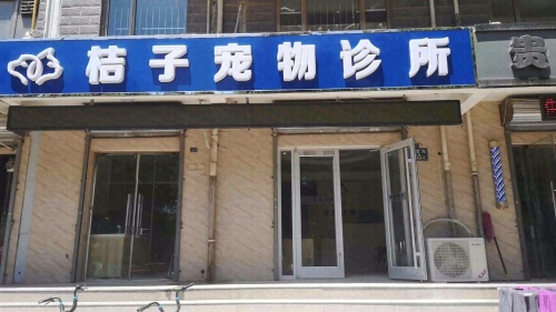 宠卫来宠物医院(丰收路分院)