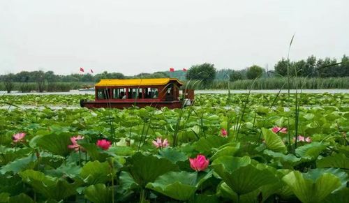 衡水市桃城区经典路线推荐