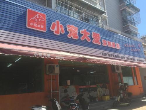 小宠大爱宠物医院