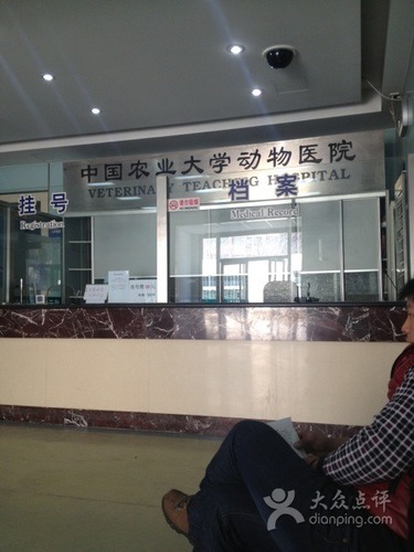 中国农业大学动物医院