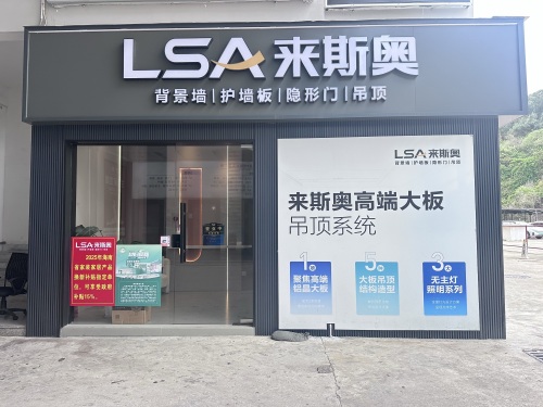 来斯奥吊顶 墙板 定制背景墙(三亚旗舰店)