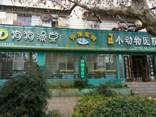 考斯特小动物医院(麒麟东路)