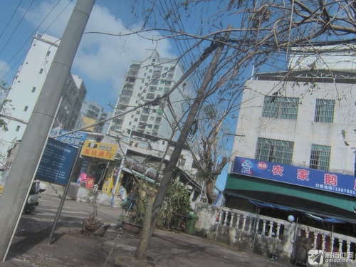 鸭四农家鹅庄