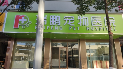 瑞鹏宠物医院(曙光分院)