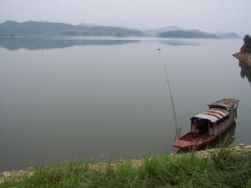 杨堤