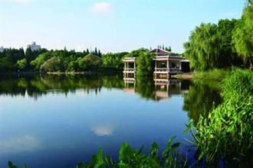 杨浦公园