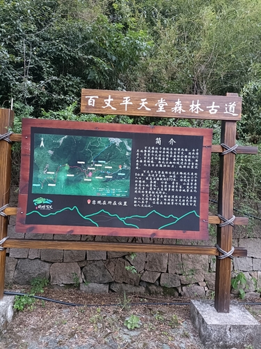 百丈平天堂森林古道