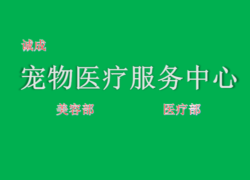 诚成宠物医院矿山路总院