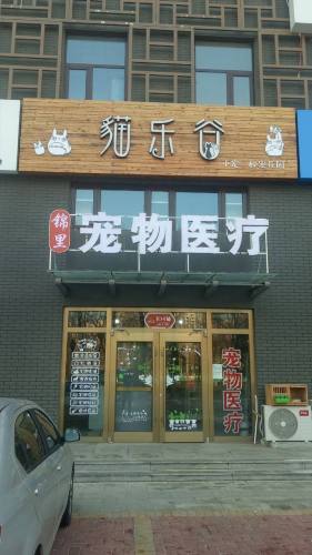 猫乐谷宠物医疗